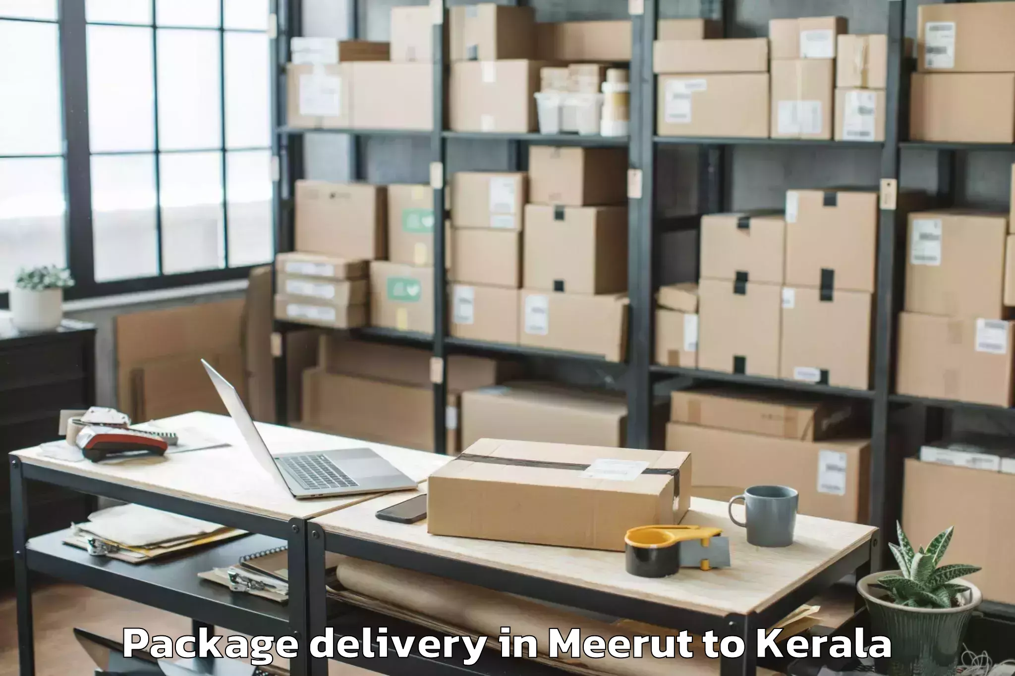 Reliable Meerut to Thrissur Package Delivery